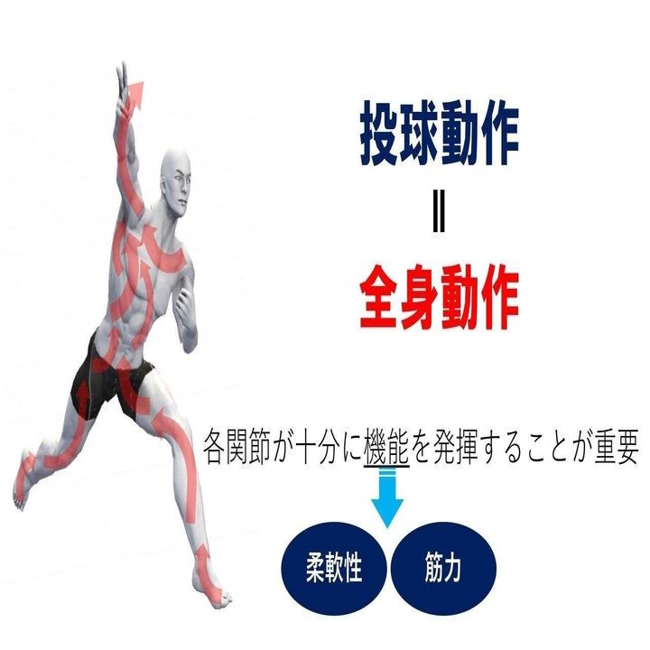 投球障害予防チェックポイント ー肩関節ー｜新海 貴史