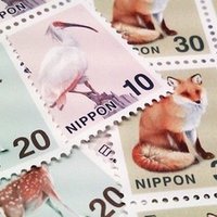 朝井リョウ著 正欲 で睡眠不足 Hironobu Jinno Note