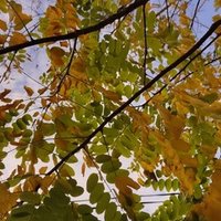 はい名作 ６番線に春は来る そして今日 君はいなくなる 赤井五郎 Note