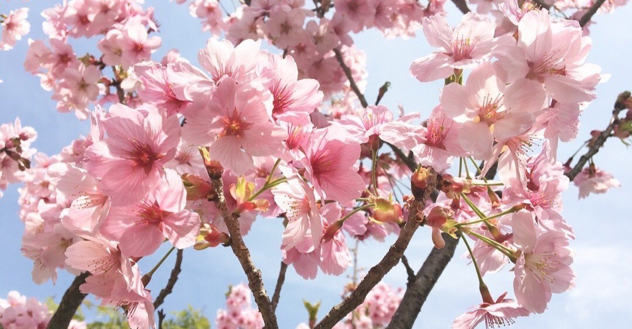 紅 連 の華よ 咲き誇れ 鬼滅の刃 Shiori Note