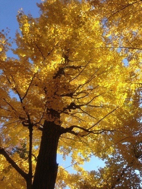 Vol.2④ 駒場のキャンパスライフ 〜東大1年生スタート！〜｜佐々木望