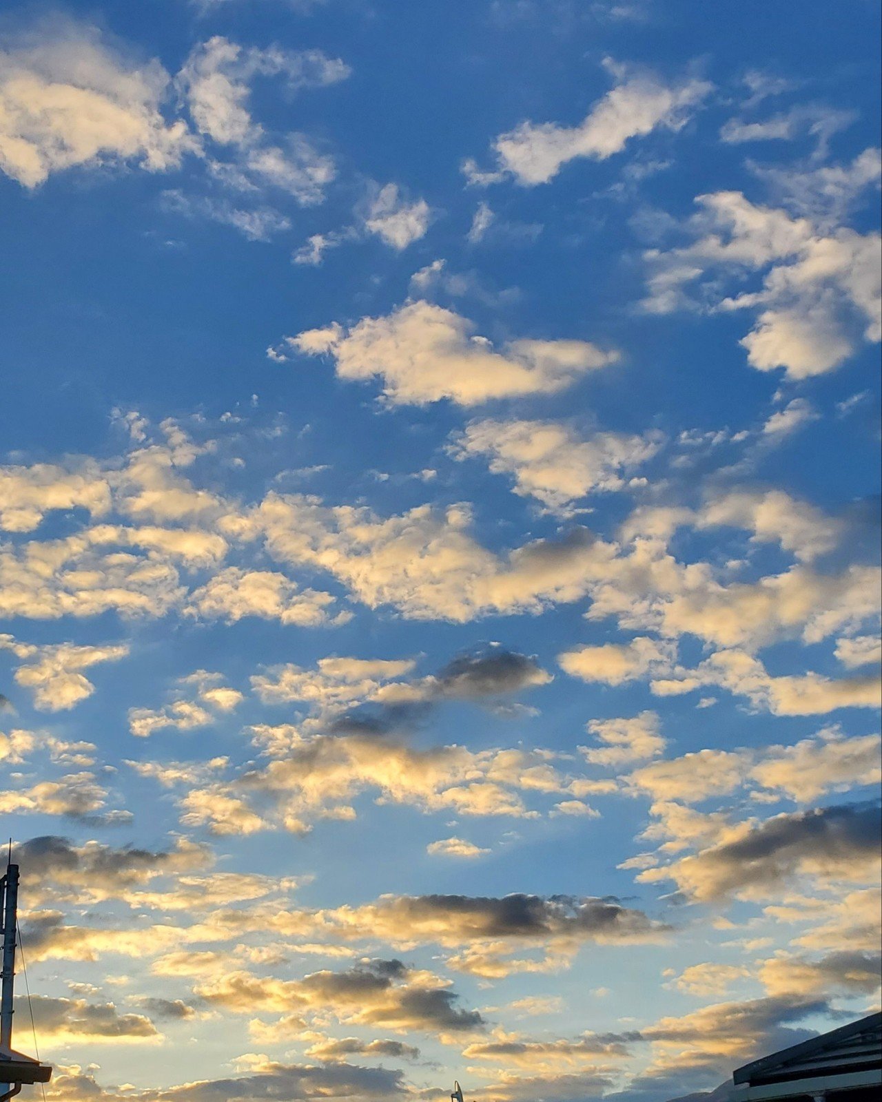 今が一番若い Unicorn Note