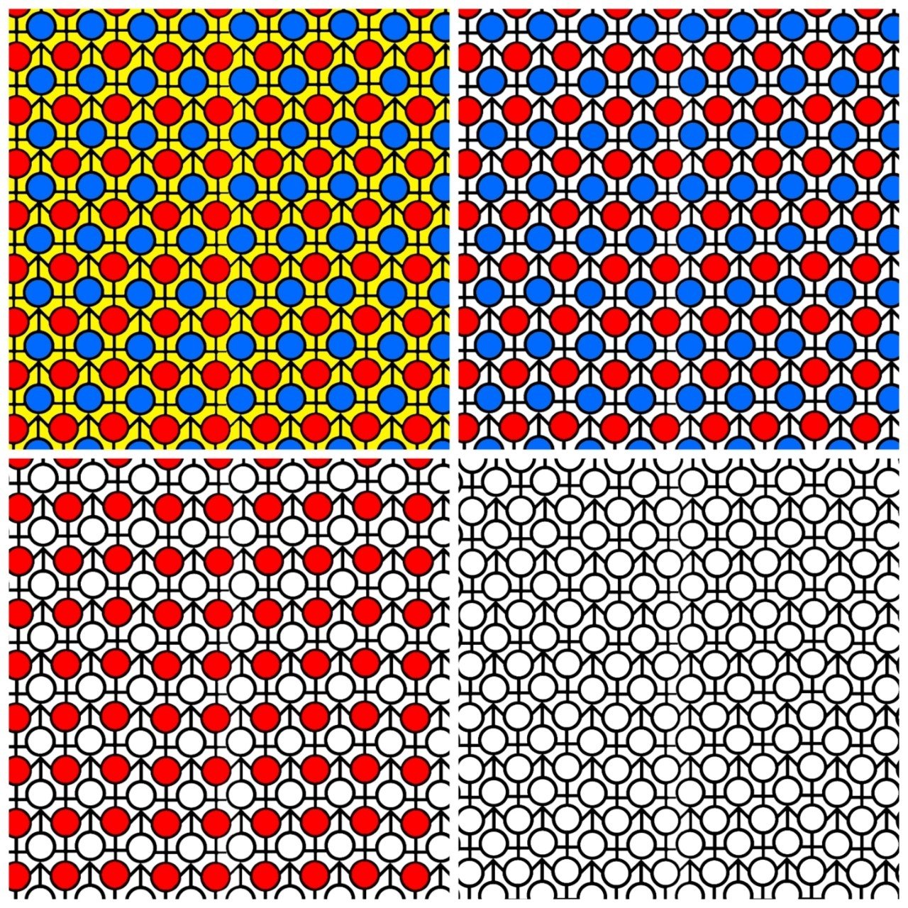 丸アート オスメスシンボルマーク サイトーセーゾー Note 丸アート オスメスシンボルマーク サイトーセーゾー Note