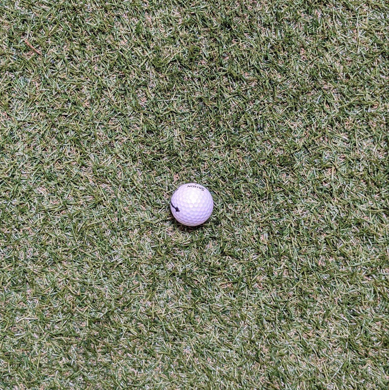 ゴルフ】ライを見極めよう〜スコア100切りの先へ#11〜｜橘ダイスケ