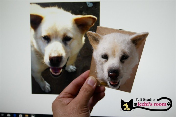 愛犬 愛猫 うちの子 オーダー フェルトスタジオ Icchi S Room きたがわたけし Note