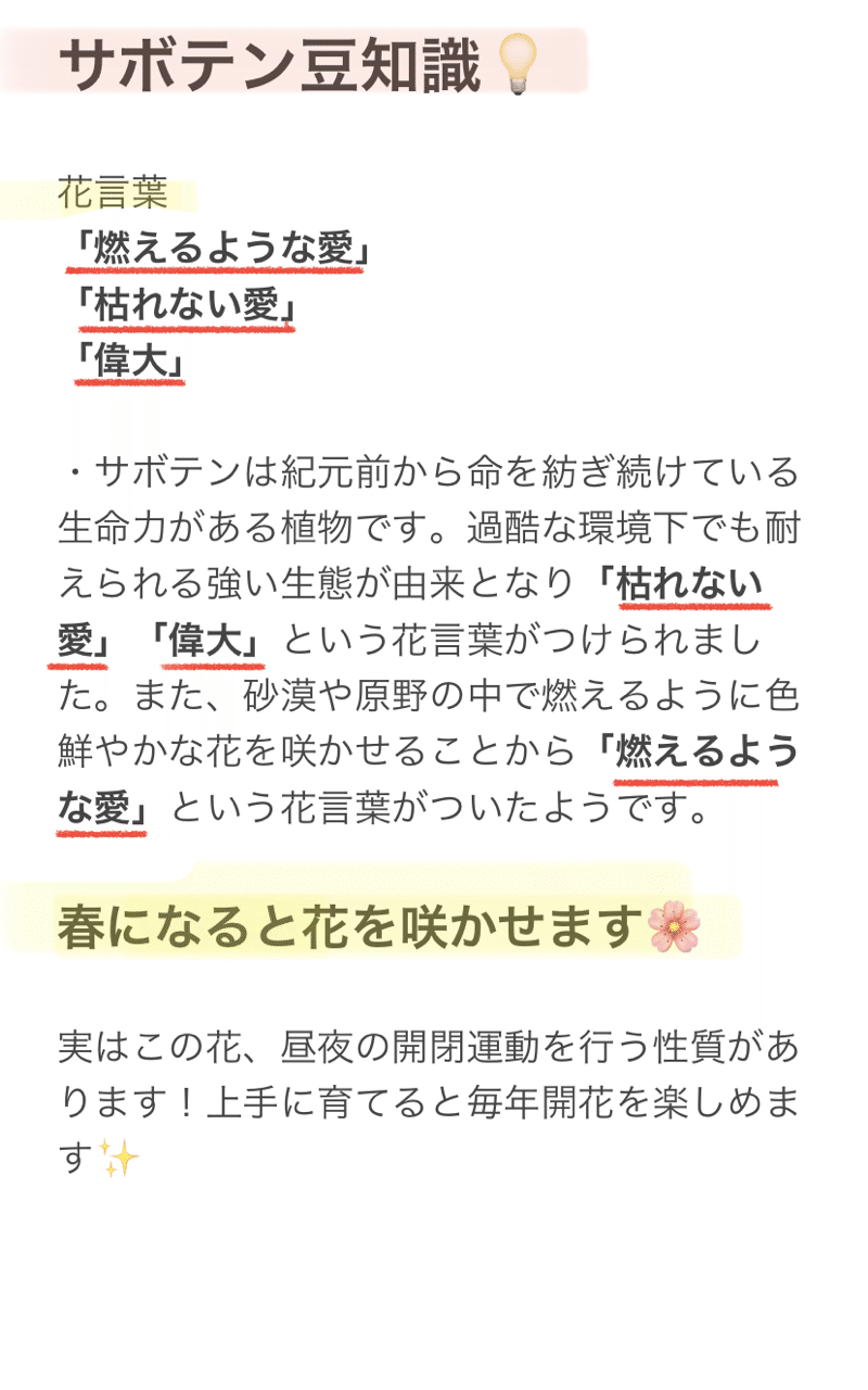 大学生一人暮らしが4年間密かにサボテンを育ててみた サボテンの育て方 Nabe Note