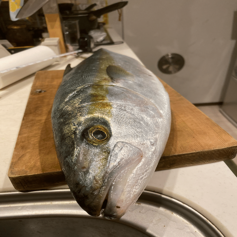 ヒラマサを食べる 熟成魚 エイジングフィッシュ Shinmr Note
