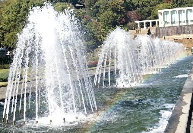 キレイ 噴水 カットした