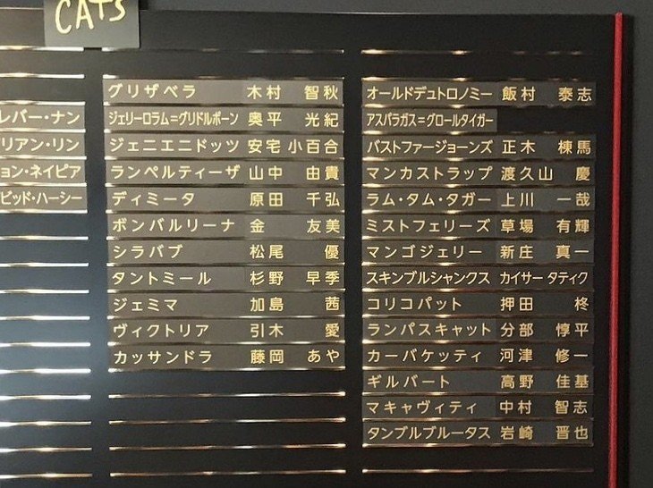 ⭐︎新品⭐︎劇団四季　キャッツ　タガー 9/9 23:05 追記しました】ラム・タム・タガー(=^x^=) | 猫は