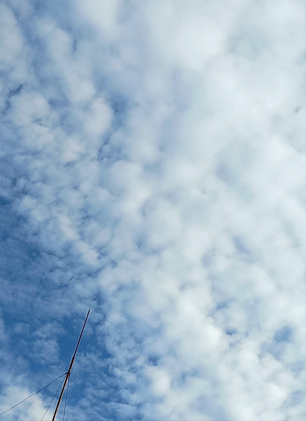 つんつくつん Ponkichitaro Note