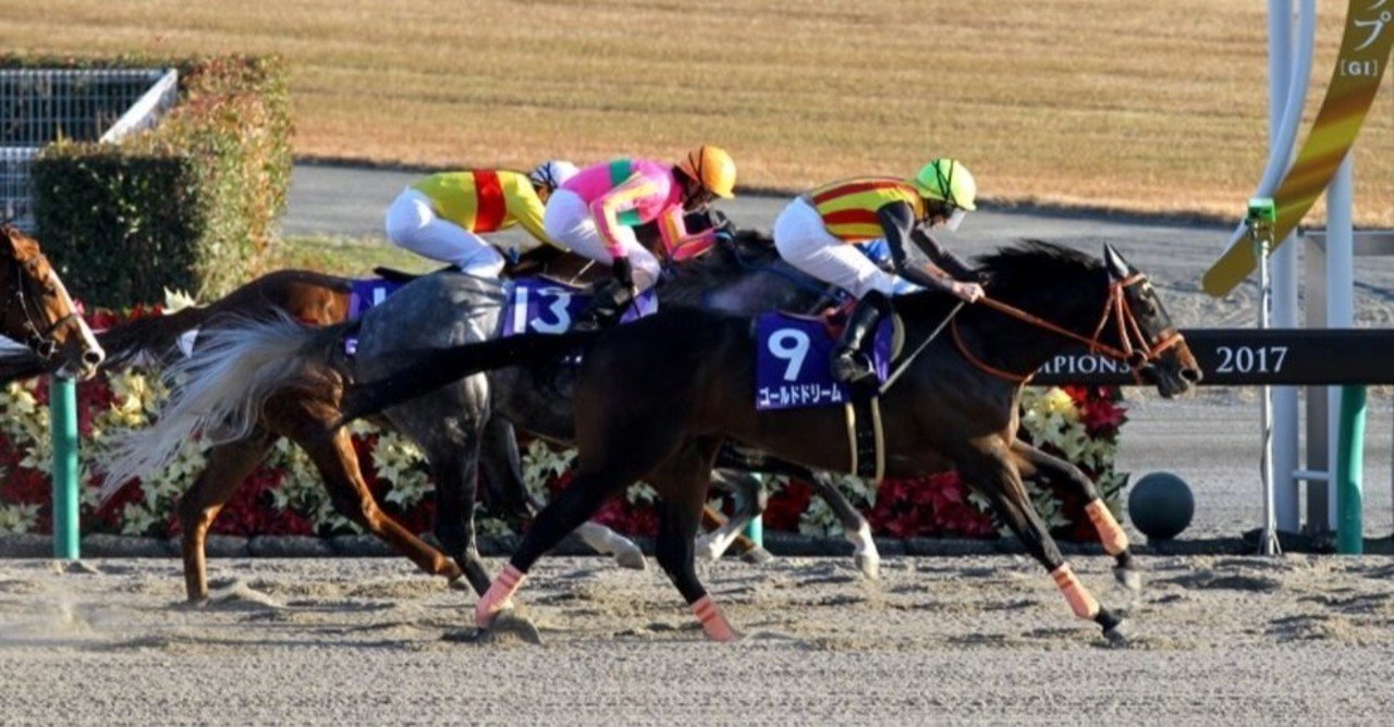 チャンピオンズカップコース適性 ヒシミラクル Note チャンピオンズカップコース適性 ヒシミラクル Note