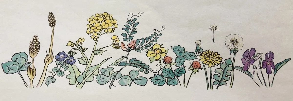 画像9