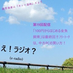 第19回配信「100円からはじめる金魚飼育」は最終回‼