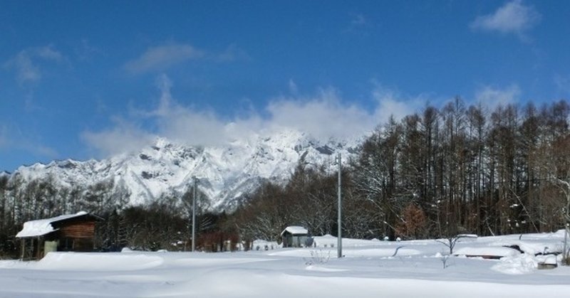 小雪 橘始黄（たちばな はじめてきばむ）