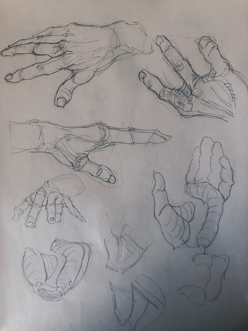 人体デッサン その後 りさ Note