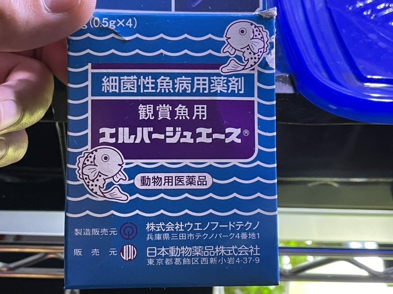 尾ぐされ病疑惑 薬浴 エルバージュエース 里 Note