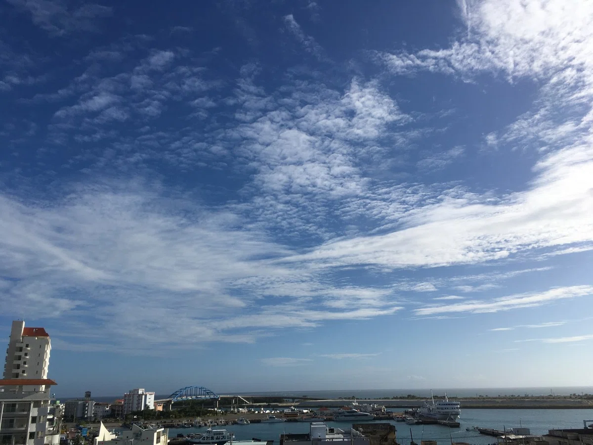 画像17