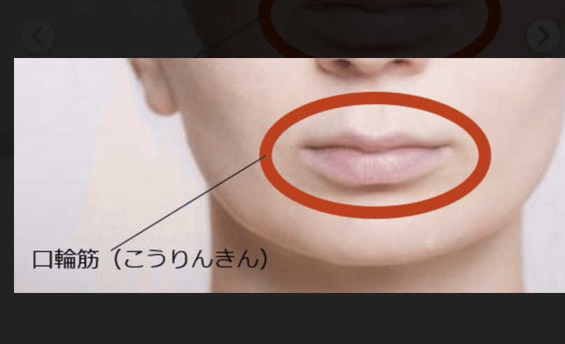 口元美人は作れます 歯のブログ