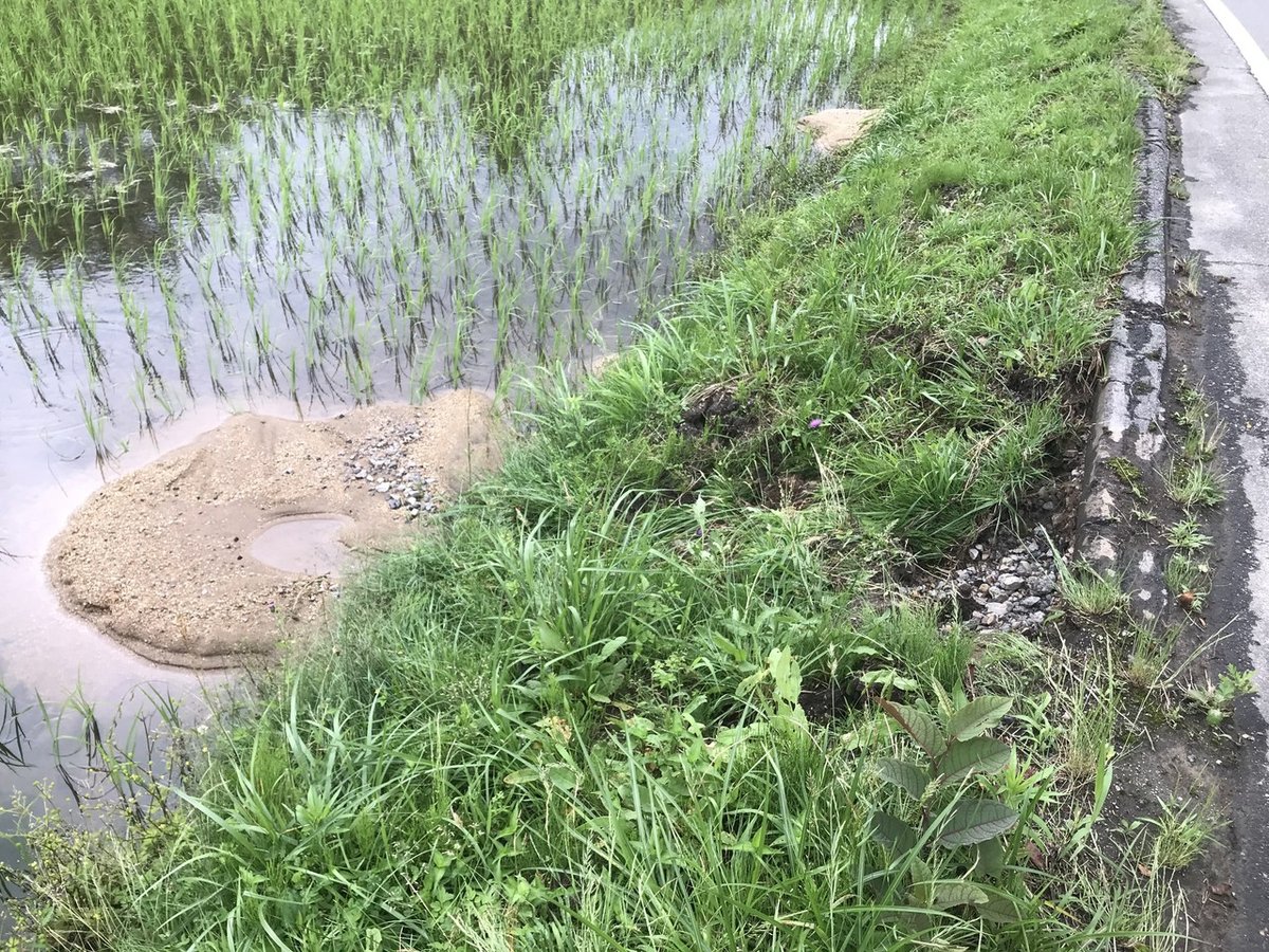 台風影響