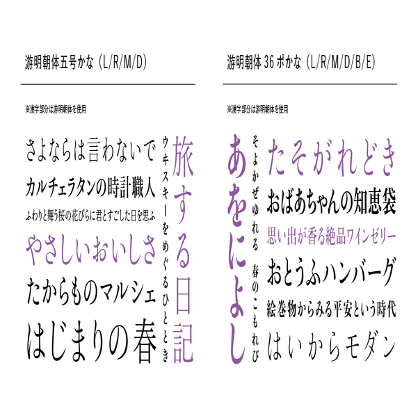 【特価⑥】活字 4号 漢字 明朝体 ゴシック体 正楷書体 活字見本帳一覧 ｜ 小宮山博史文庫 仮名字形一覧