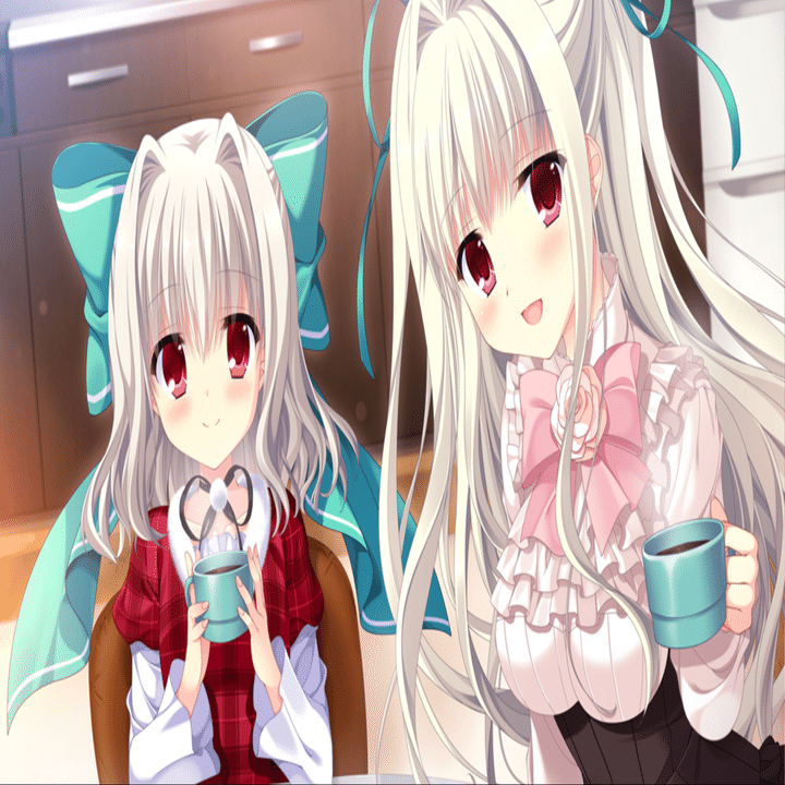 世界が忘れた少女｜黒主零