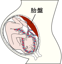 画像31