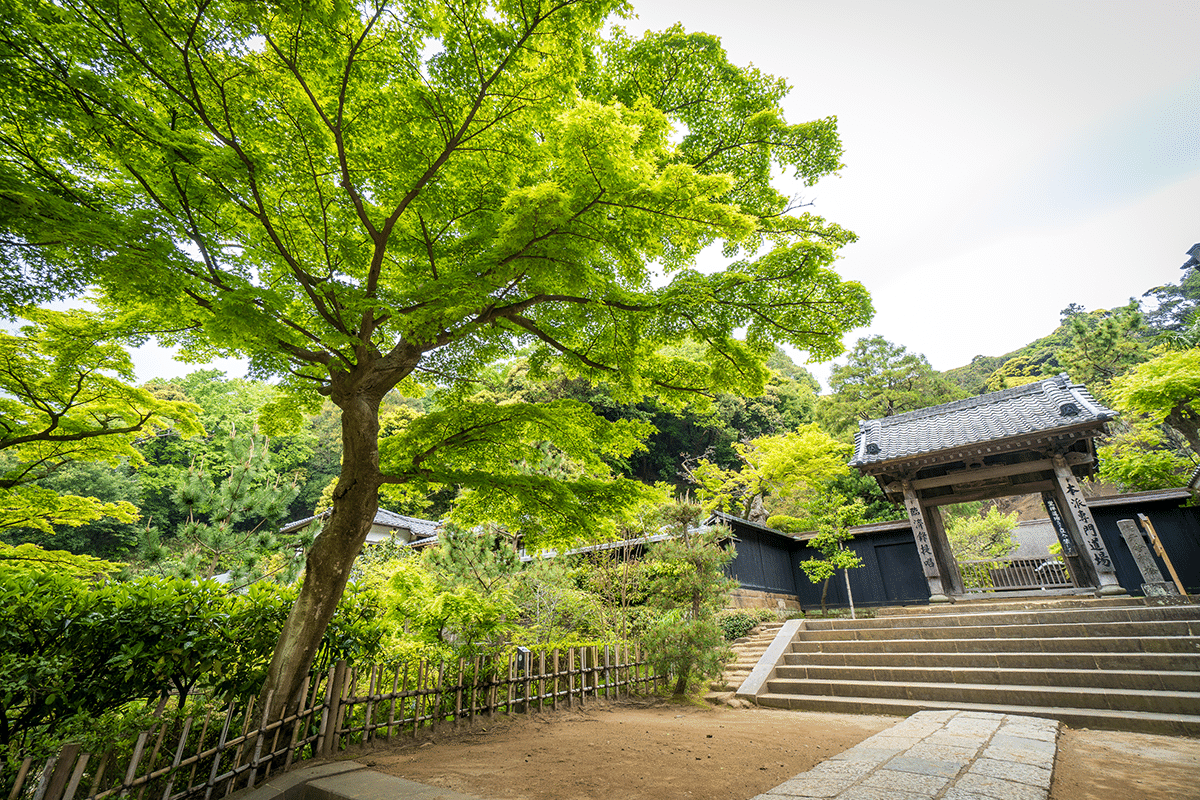 Radio201.[再]横田南嶺さん（神奈川県鎌倉市 臨済宗円覚寺派 円覚寺