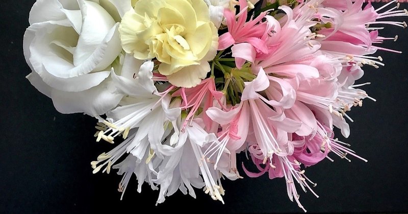 おうち活け花 ネリネ編 閲覧注意 下手くそです 笑 前半にちょっと深刻な最近の話題あり 悠冴紀 小説家 詩人 Note おうち活け花 ネリネ編 閲覧注意 下手くそです 笑 前半にちょっと深刻な最近の話題あり 悠冴紀 小説家 詩人 Note