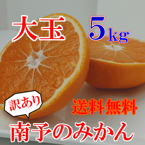 年末の楽天スーパーセールで買うべきもの ぬん学習塾 Note