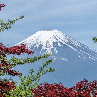 トップに移動