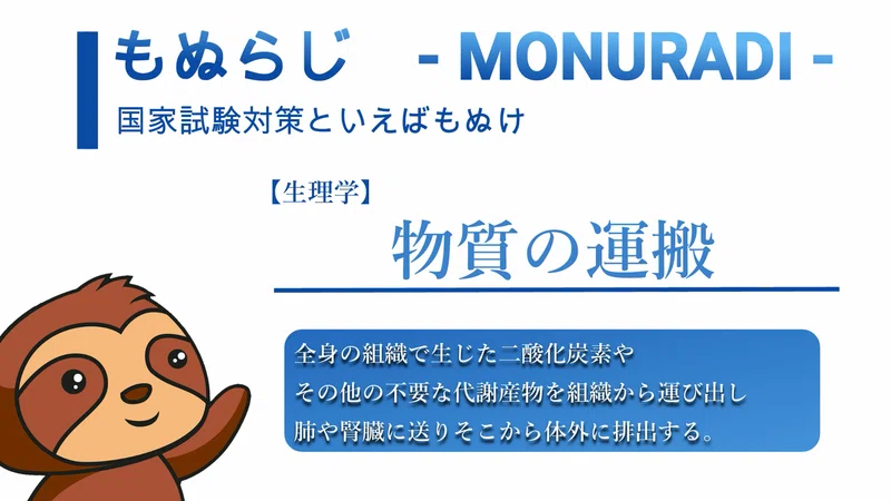 生理学 音声で楽しく学ぶ 血液についてとその役割 について 文字起こし 森元塾 国家試験対策 Note