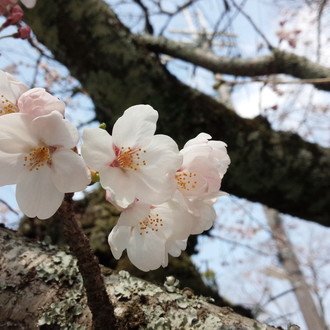 トップに移動