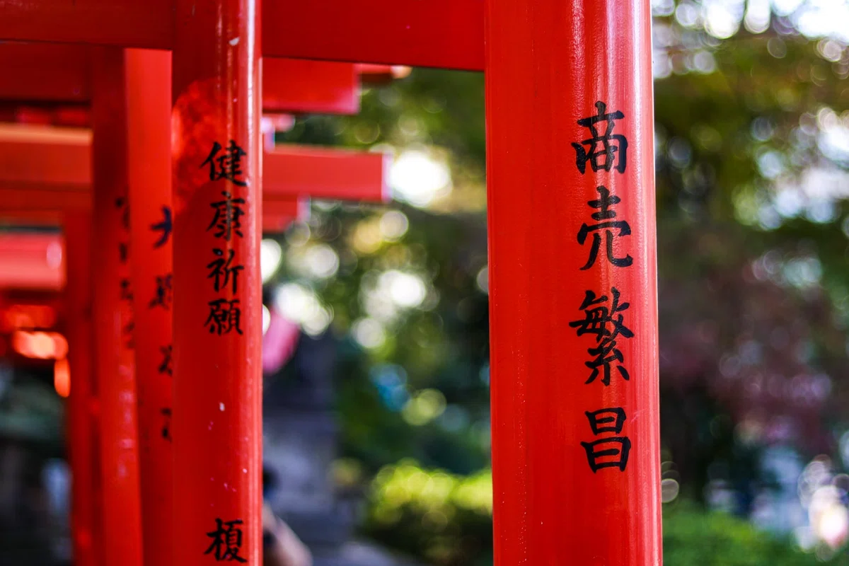 画像