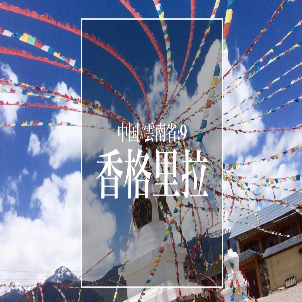 山を抜けるとチベットだったシャングリラ【中国雲南省旅行記①】#9