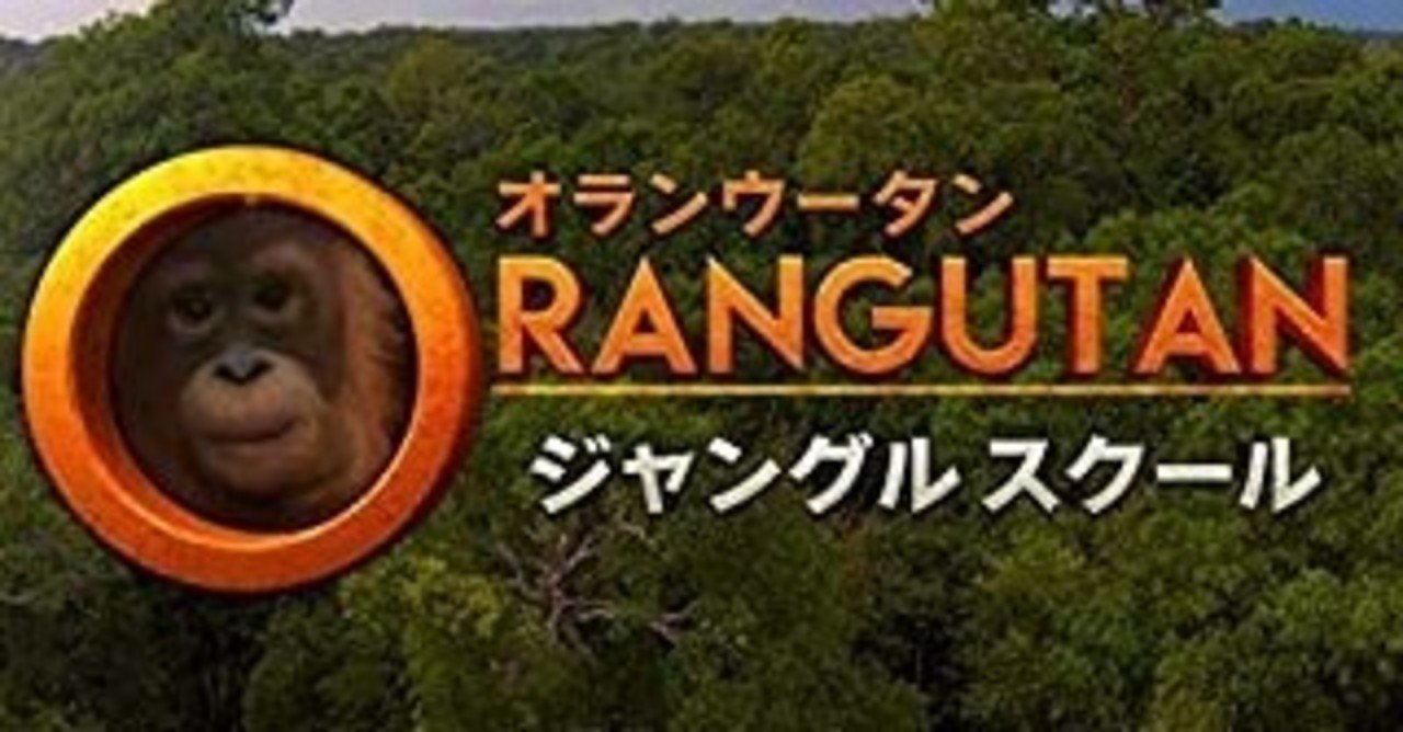 とにかく赤ちゃんがかわいい オランウータン ジャングルスクール シーズン2 綿樽 剛 メンタルを強くする健康習慣 Note