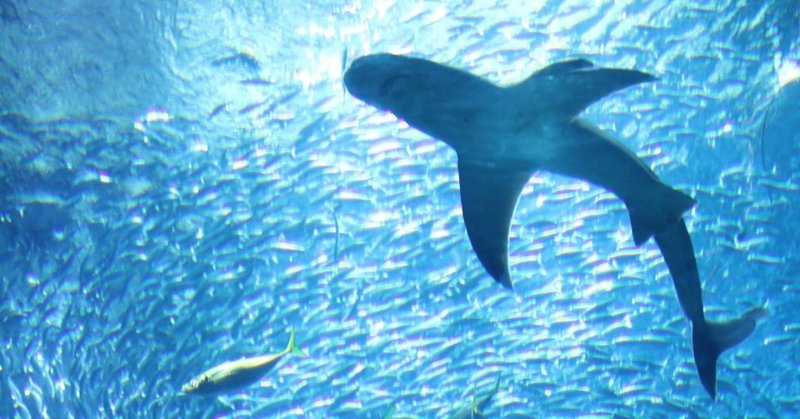 Ark購入の Aqb 遺伝子組み換えサーモンによる食料問題解決 トウシドリ Note Ark購入の Aqb 遺伝子組み換えサーモンによる食料問題解決 トウシドリ Note