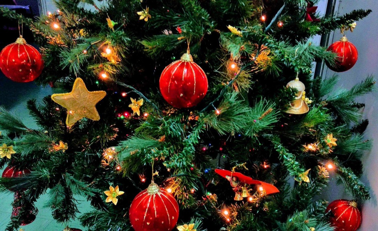 メリークリスマス 世界のクリスマス特集 せかい部 公式