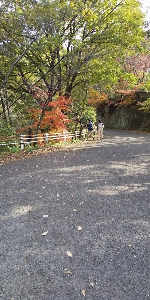 画像8