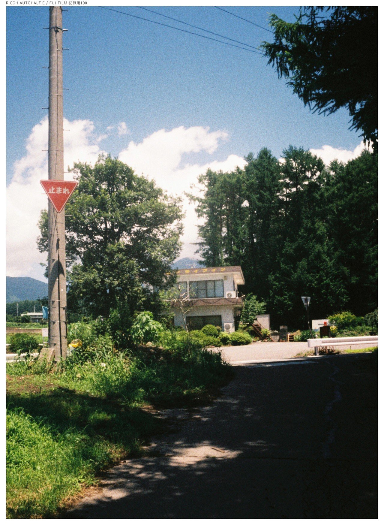 画像11