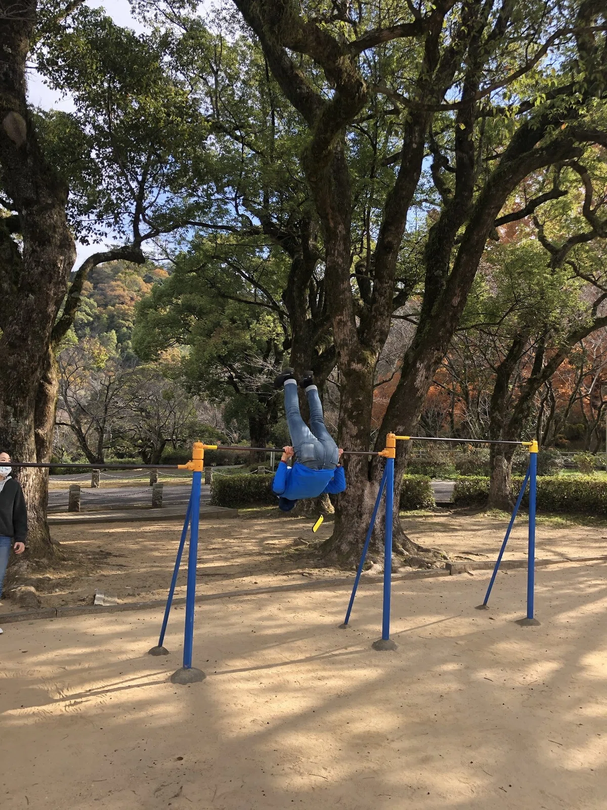 画像12