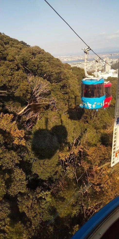 画像42