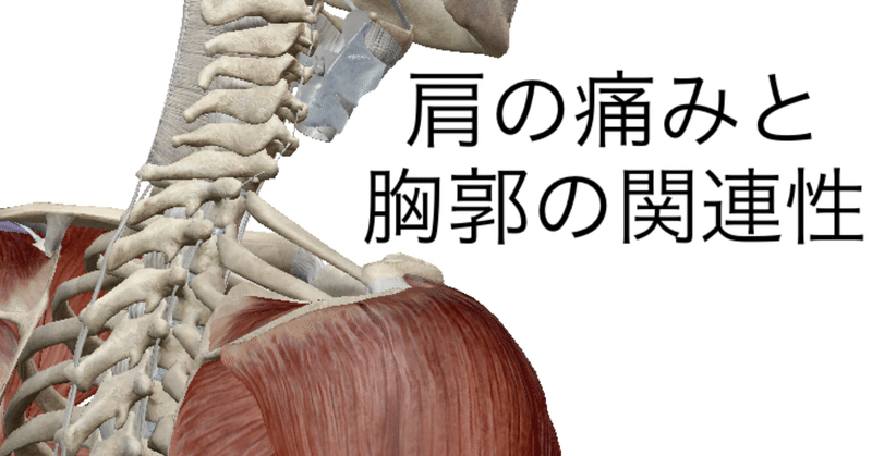上腕二頭筋長頭腱炎 の新着タグ記事一覧 Note つくる つながる とどける 上腕二頭筋長頭腱炎 の新着タグ記事一覧 Note つくる つながる とどける