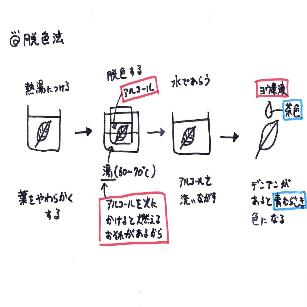 音声あり 板書シリーズ 005 アルコール脱色法 理子 雑談女塾 そふとめん Note