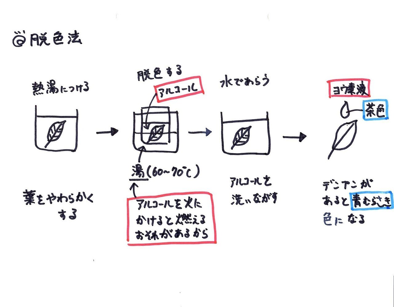 音声あり 板書シリーズ 005 アルコール脱色法 理子 雑談女塾 そふとめん Note 音声あり 板書シリーズ 005 アルコール脱色法 理子 雑談女塾 そふとめん Note
