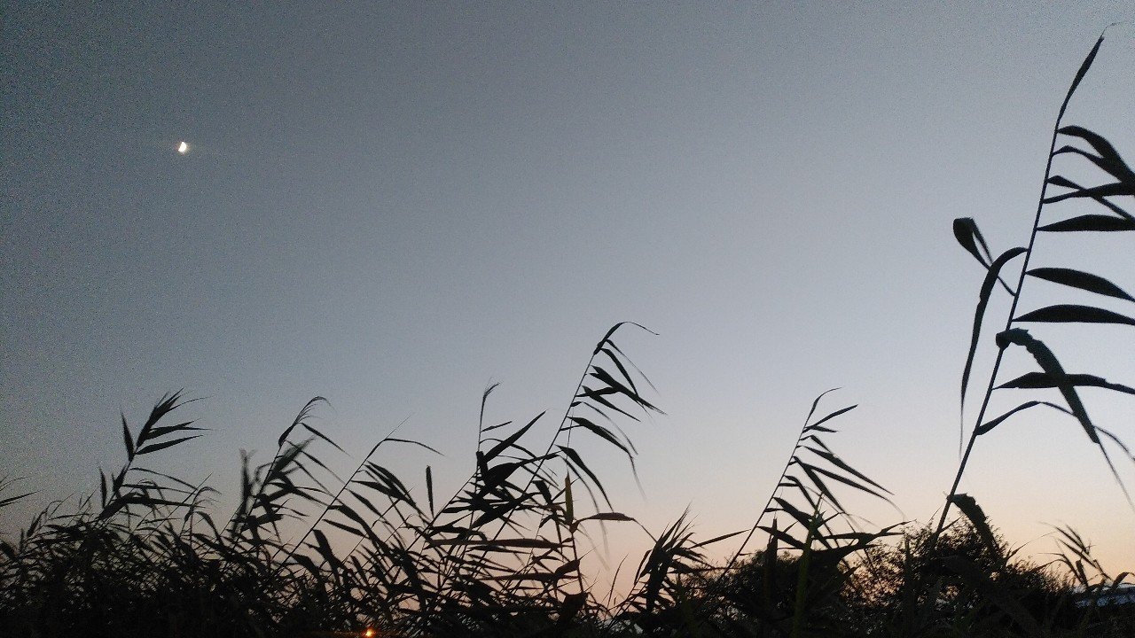 日本語で歌う 流星雨 流星花园 風流る ふるる Note