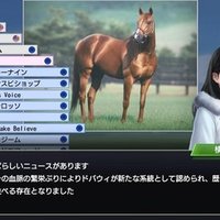 ウイニングポスト9 因子の決まり方 ウイポ9検証勢 Note