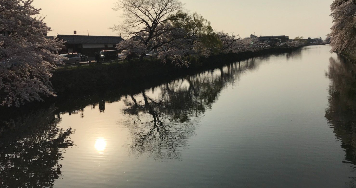 かっこいい女性ロッカー達 洋楽編 Negomasa Note かっこいい女性ロッカー達 洋楽編 Negomasa Note