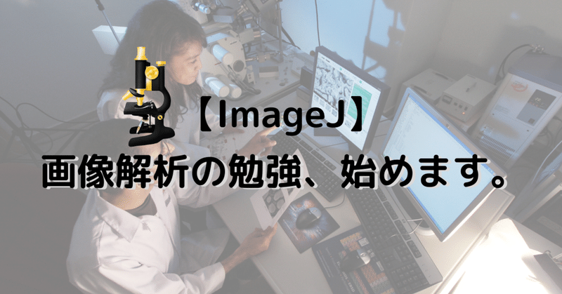 【ImageJ】画像解析の勉強、始めます。