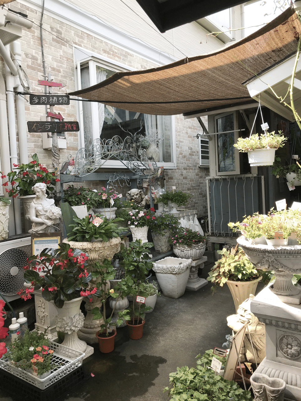 サニープレイスカフェ 小川町 Eccomiyumikko Note サニープレイスカフェ 小川町 Eccomiyumikko Note