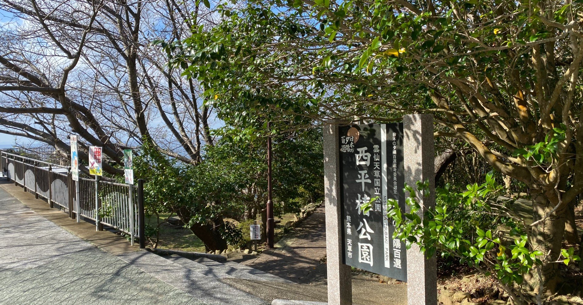 西平椿公園 今年の開花予想 Ring A Bell Note 西平椿公園 今年の開花予想 Ring A Bell Note